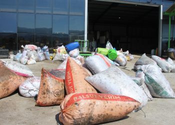 Aydın’da çalışacak işçi bulamıyor! Hamal ayda 24 bin lira kazanıyor