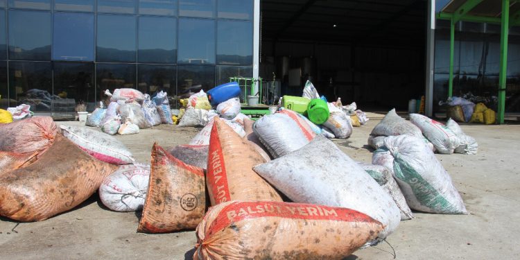 Aydın’da çalışacak işçi bulamıyor! Hamal ayda 24 bin lira kazanıyor