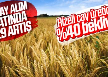 Çay üreticileri zam bekliyor