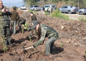 Depremde vefat edenler için Bursa’da fidan dikildi