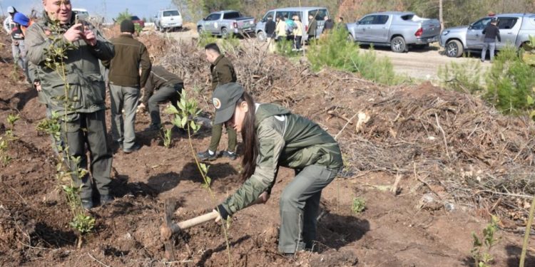 Depremde vefat edenler için Bursa’da fidan dikildi