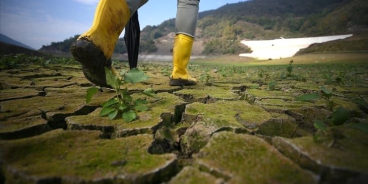 Dünyada su krizi tehlikesi için uyarı yapılıyor