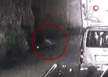 Fatih’te kaldırım taşı attığı polis memurunu şehit eden suçlu için istenen ceza belli oldu