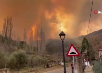 İspanya’da orman yangını