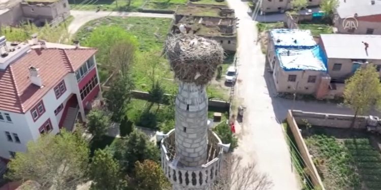 Kahramanmaraş’ta 64 yıldır leyleklerin yuva yaptığı minare yıkıldı