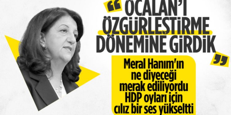 Meral Akşener’den HDP’ye cılız tepki: Nevruz katile özgürlük dileme günü değildir