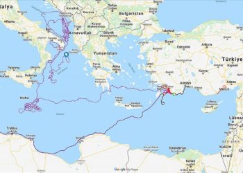 Muğla’da denize bırakılan ‘caretta caretta Tuba’ 20 bin kilometre yol gitti