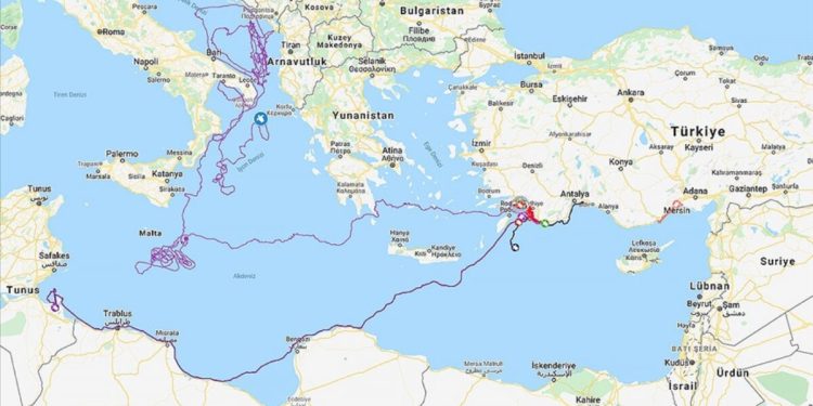Muğla’da denize bırakılan ‘caretta caretta Tuba’ 20 bin kilometre yol gitti