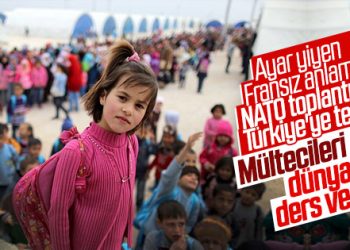 NATO PA toplantısı Türkiye mesajıyla sona erdi