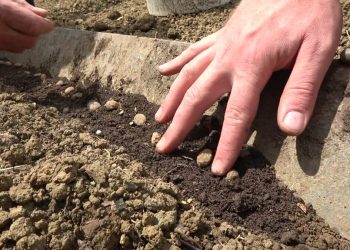 Tarımsal girdi fiyatları yıllık yüzde 95,99 arttı