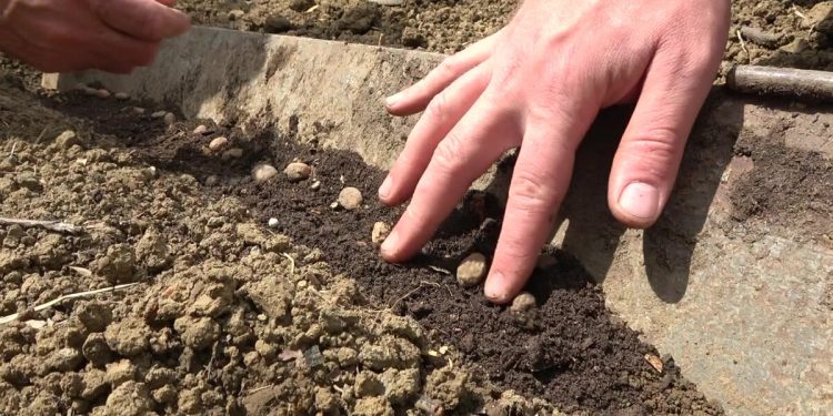 Tarımsal girdi fiyatları yıllık yüzde 95,99 arttı