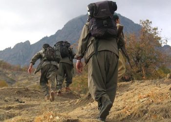 Terör örgütü üyesi ikna yoluyla teslim oldu
