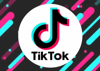 TikTok’a bir yasak da Hollanda’dan geldi