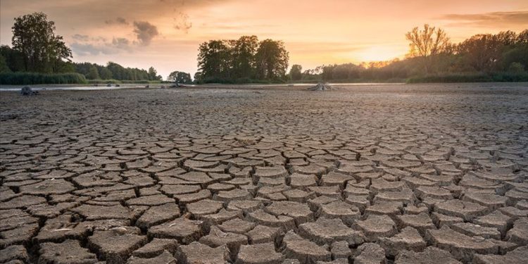 TZOB: Su kullanıcıları tarımsal uygulamalarda geleneksel yöntemleri kullanıyor