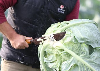 TZOB, ürün fiyat farklarını ortaya serdi