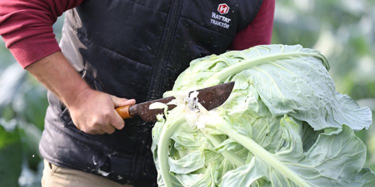 TZOB, ürün fiyat farklarını ortaya serdi