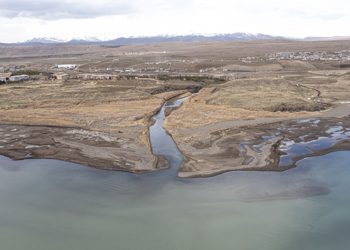 Van Gölü’ndeki çekilme nedeniyle inci kefalinin göç yolculuğu uzayacak