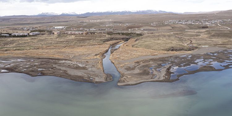 Van Gölü’ndeki çekilme nedeniyle inci kefalinin göç yolculuğu uzayacak