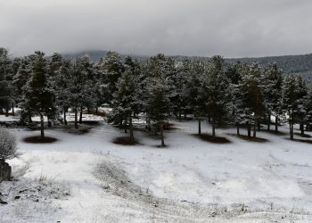 Yurdun doğusuna bahar gelmedi! Kars ve Ardahan kara teslim oldu