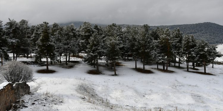 Yurdun doğusuna bahar gelmedi! Kars ve Ardahan kara teslim oldu