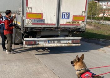 Ali Yerlikaya, Hatay ve Sakarya’da göçmen kaçakçılığı operasyonunu paylaştı: 39 gözaltı