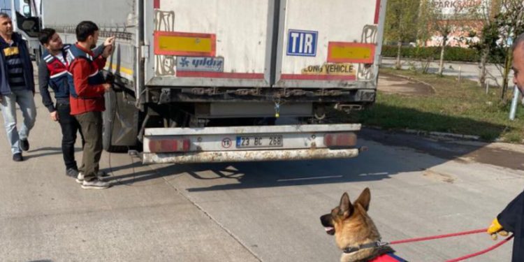 Ali Yerlikaya, Hatay ve Sakarya’da göçmen kaçakçılığı operasyonunu paylaştı: 39 gözaltı