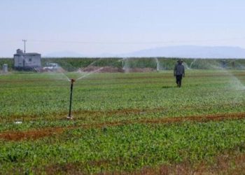 Konya Ovası’nda açılan kuyuların derinliği 30 metreden 450 metreye çıktı