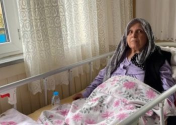 İstanbul’da Pitbull yaşlı kadına saldırdı! 3 sanığın hapsi istendi