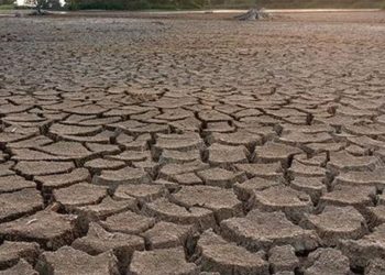 Bodrum susuz kalıyor! Barajlar kritik seviyede…