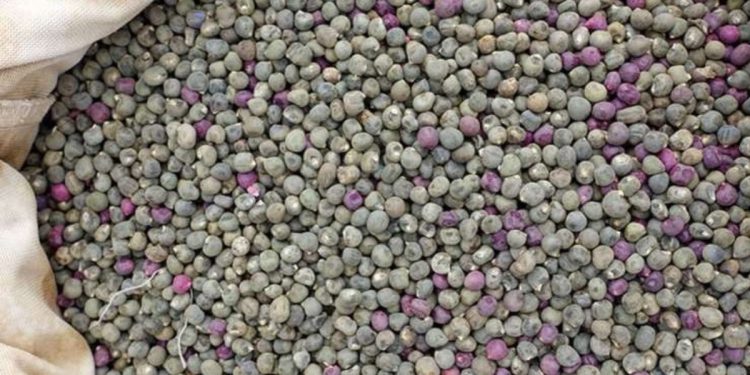 1 tutam tüketen hastalık yüzü görmüyor! Kireçlenme, diyabet, kanser…