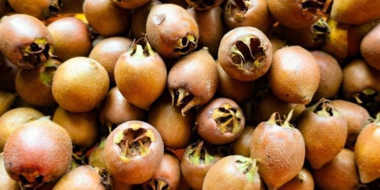 Bir meyve, bin fayda! Yiyen hastalık yüzü görmüyor