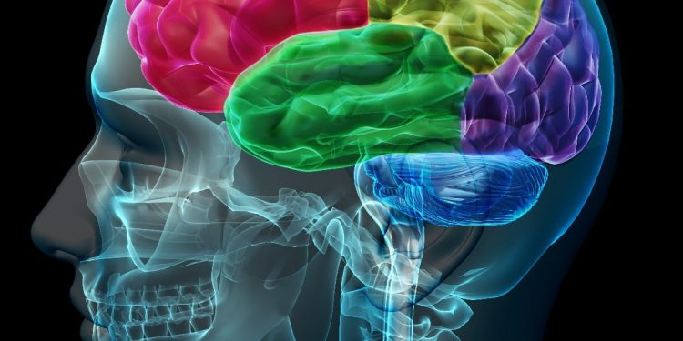 Bu 10 özelliği taşıyorsanız: Üstün zekalısınız! İşte üstün zekalıların fark yaratan özellikleri