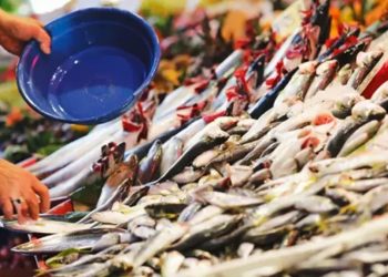 Bu balığı yiyenler o hastalıktan sonsuza kadar kurtulacak! Gözümüzün önündeki saklı cevher…