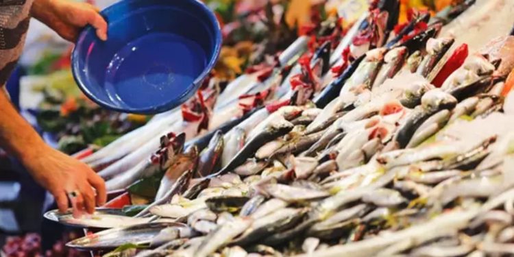 Bu balığı yiyenler o hastalıktan sonsuza kadar kurtulacak! Gözümüzün önündeki saklı cevher…