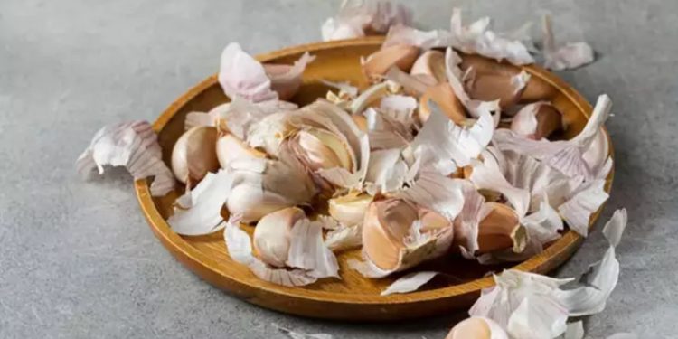 Çöpe atan bin pişman! Sarımsak kabuklarını kaynatıp içerseniz…